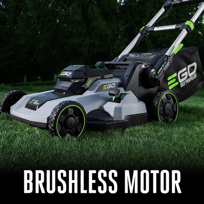 Brushless Motor Built To Last