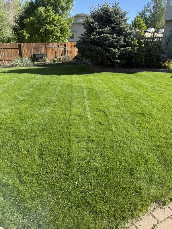 Excellent mower, it is heavy