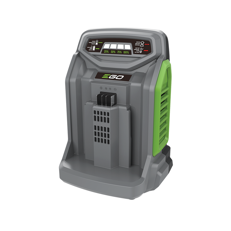 550W Rapid Charger (CH5500)